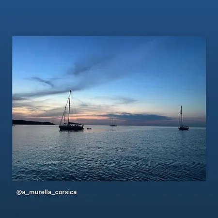 公寓 Au Coeur De Saint-florent A 200m De La *